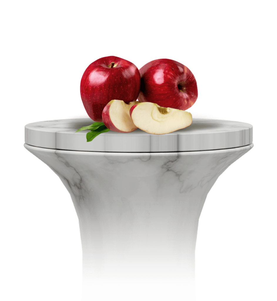 Apple (Malus domestica)