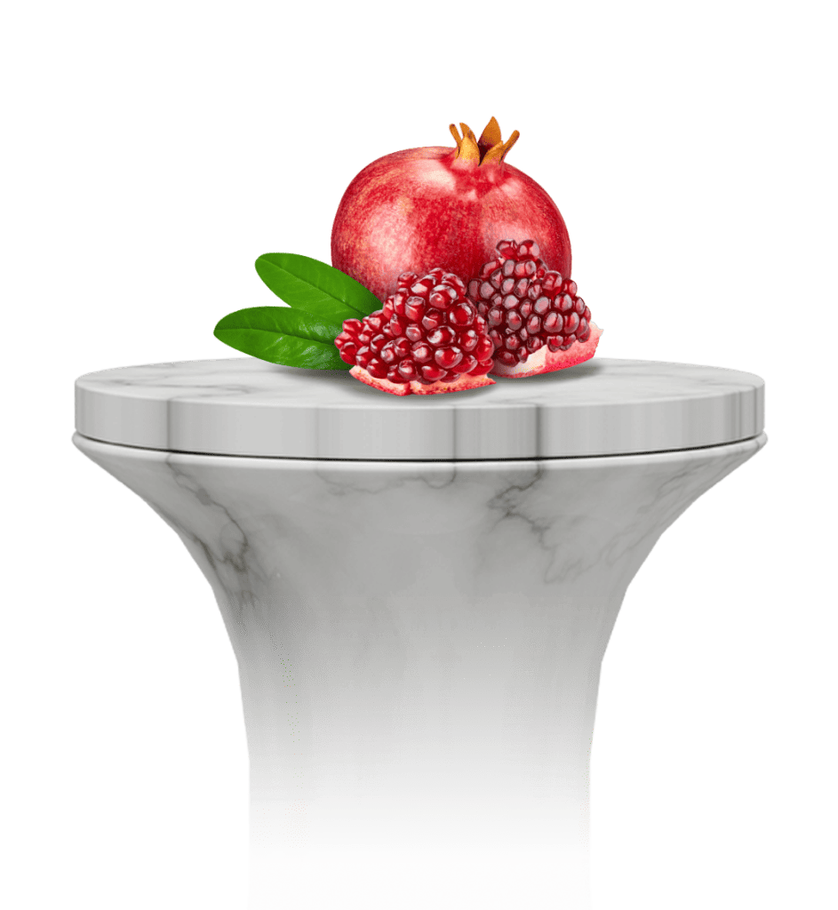 Pomegranates (Punica granatum)