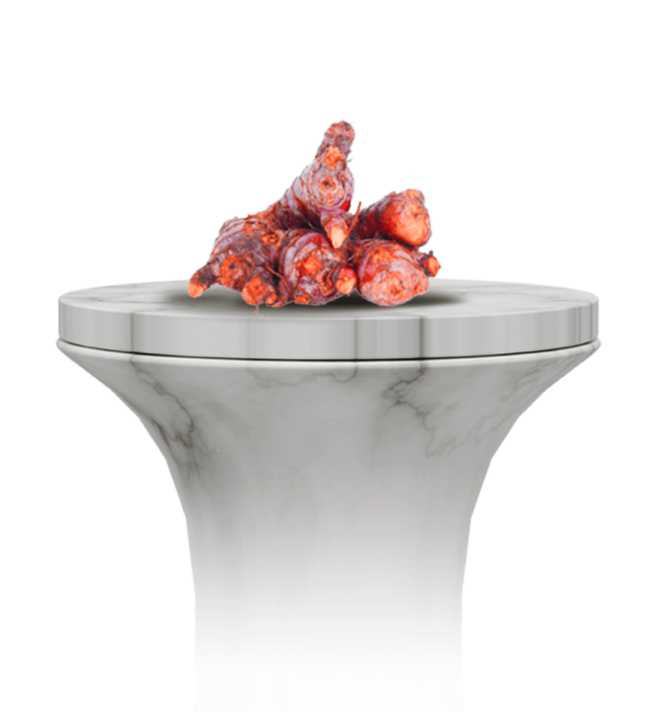 Halia (Zingiber officinale)