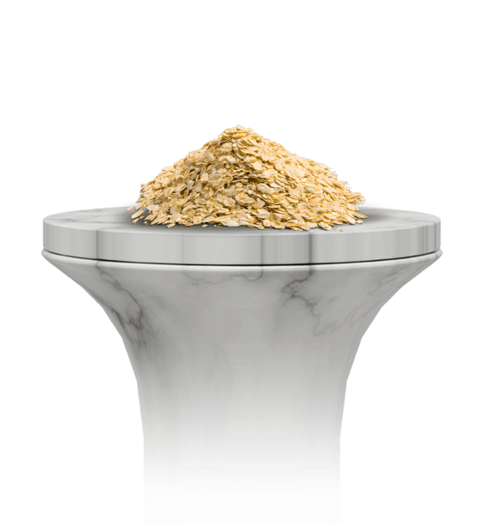 Oats (Avena sativa)