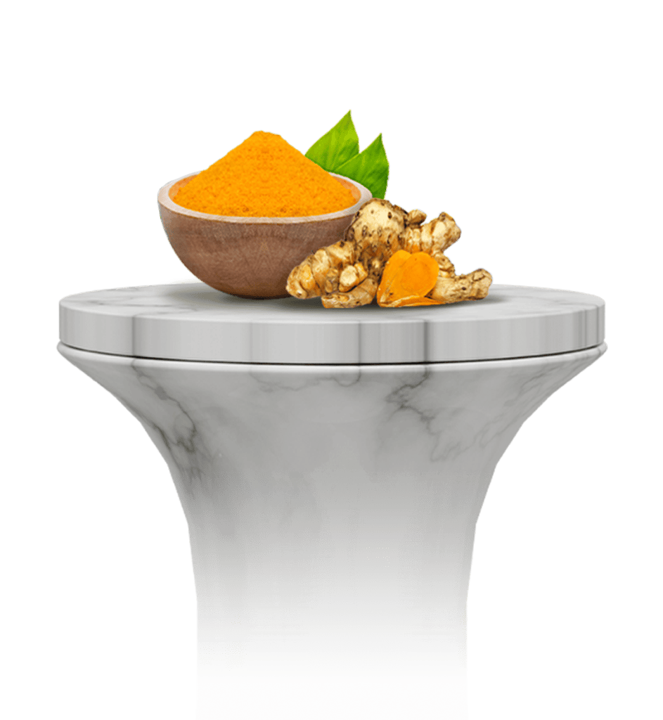 Temulawak (Curcuma xanthorrhiza)